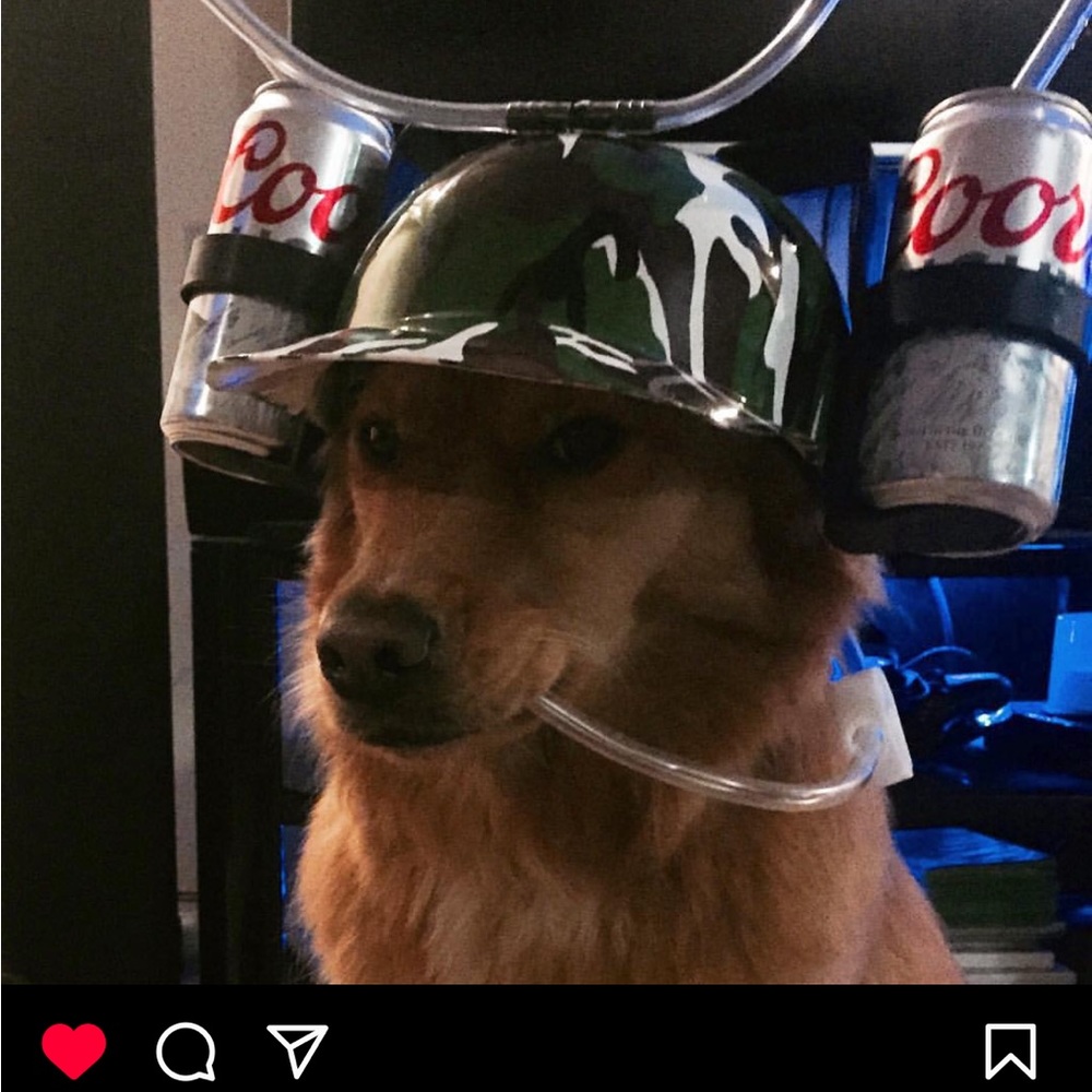 This is amazing things from DeeOgee ( D O G) customized to you . - Picture 4 of 11